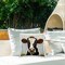 Stupell Industries Stoic Cow Gaze Portrait Outdoor Printed Throw Pillow Design by LSR Design Studio, 18 x 7 x 18